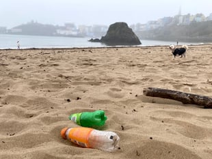 Why we need to curb plastics