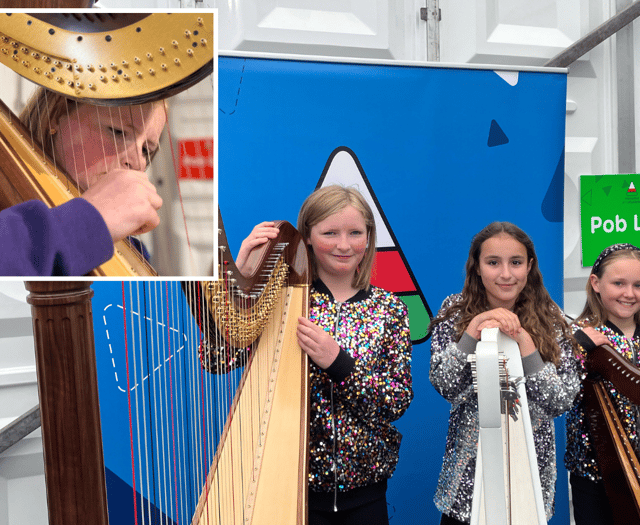 Cambrian harp talent shines at Urdd awards