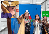Cambrian harp talent wins at Urdd