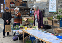 Climate Action in Cardigan: Join the Green Week