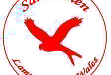 Sarn Helen runners shine for Wales