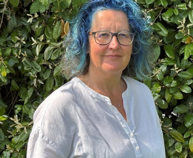 New independent board member for Hywel Dda