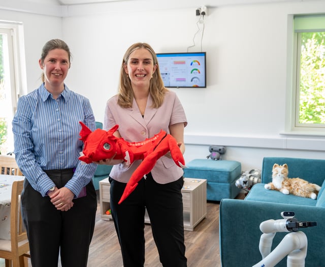 Technology helping older people to stay in their own homes longer