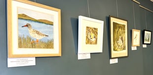 Llanidloes exhibition highlights plight of birds on proposed wind farm