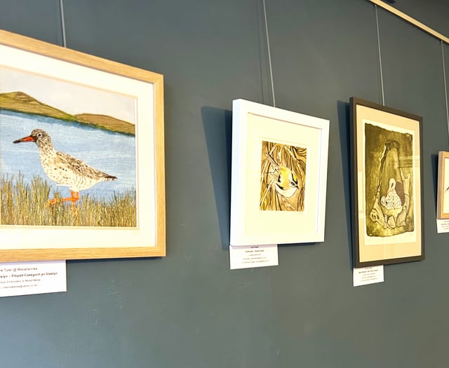 Llanidloes exhibition highlights plight of birds on proposed wind farm