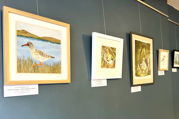 The Protect Glaslyn & Hafren group have put together an exhibition highlighting the 22 endangered birds at risk on a site earmarked for wind farm development