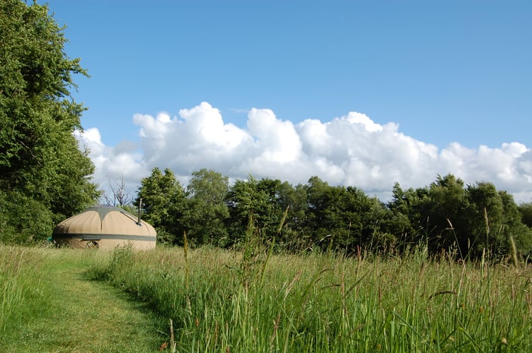 Guests have the field to themselves when staying in the Red Kite Yurt in the wildflower field at Orchid Meadows