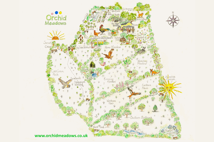 Guests have free rein to explore the 25-acres