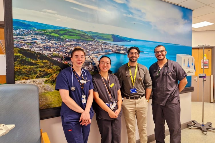 Wall art and screens for Ystwyth Ward