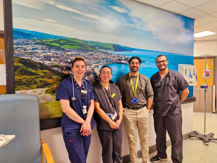 Wall art and screens for Ystwyth Ward