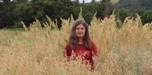 Exceptional’ oat variety bred wins major award