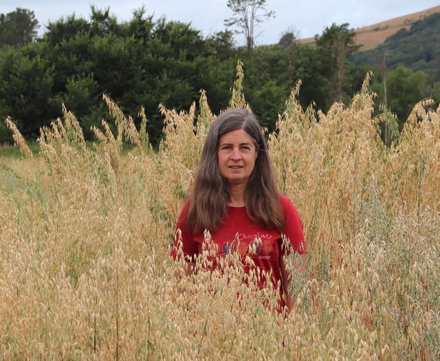 Exceptional’ oat variety bred wins major award