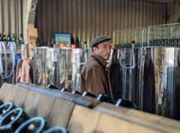 Mach cider producer goes head to head in S4C business competition