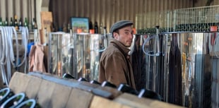 Mach cider producer goes head to head in S4C business competition