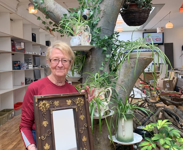 Aberystwyth climate shop turns volunteer into Kenyan forest champion