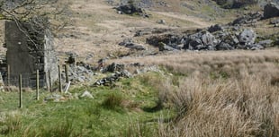 Charity campaigning to protect Cambrian Mountains celebrates 20 years