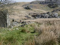Charity campaigning to protect Cambrian Mountains celebrates 20 years