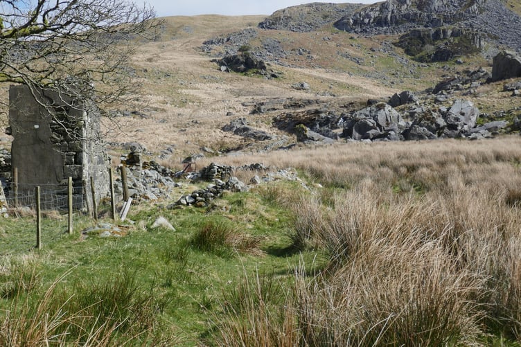 A charity dedicated to the protection of the Cambrian Mountains is celebrating its 20th year