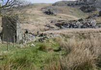 Grassroots charity campaigning to protect the Cambrian Mountains celebrates 20 years