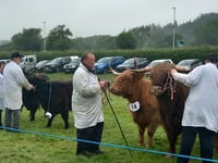 Wet and windy start to Aberystwyth & Ceredigion County Show