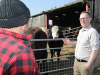 Senedd members lambast Welsh Government bluetongue response