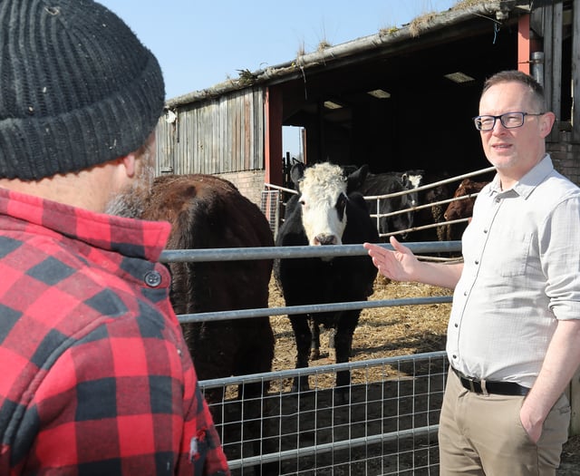 Senedd members lambast Welsh Government bluetongue response