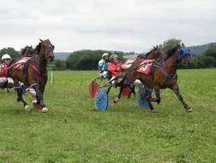 Happy Hands wins Grade A trotting race at Kinnerton