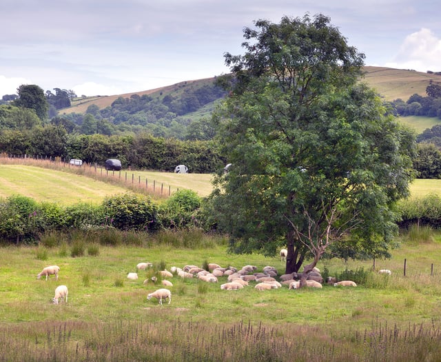 Reaction to new-look sustainable farming scheme