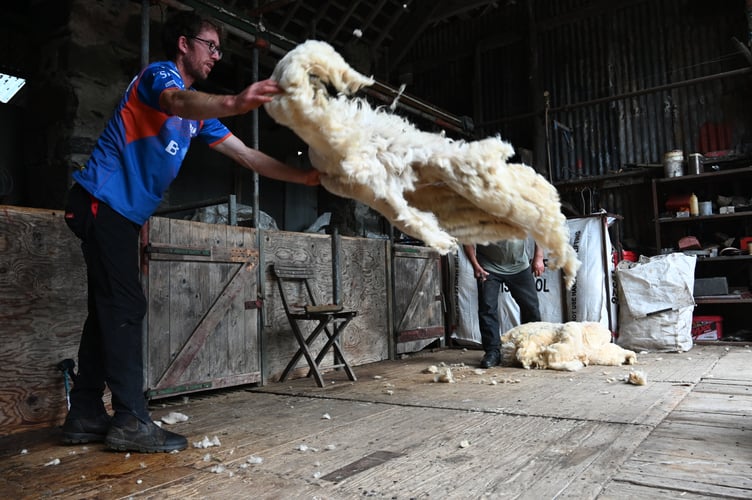 RWAS Feature County for 2025, Caernarfon host the Hill Farming Event at Hafod y Llan Farm Beddgelert 12_06_2025