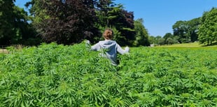 New industrial hemp hub to drive green innovation