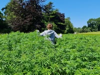 New industrial hemp hub to drive green innovation