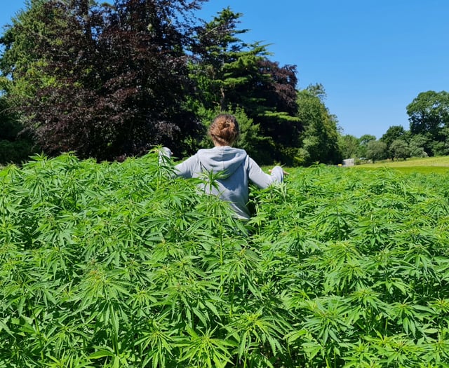 New industrial hemp hub to drive green innovation