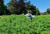 New industrial hemp hub in Aberystwyth to drive green innovation