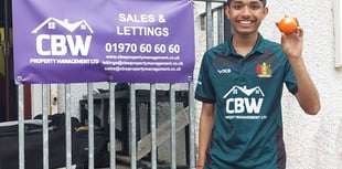 Young bowler Khare spins Llandeilo to defeat