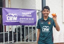 Khare's spin decimates Llandeilo