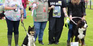 Aberystwyth Show winners revealed