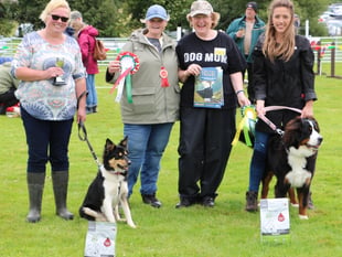 Aberystwyth Show winners revealed