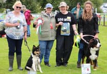 Aberystwyth Show winners revealed
