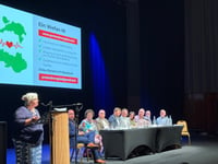 Bronglais stroke concerns raised in Senedd