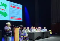 Bronglais stroke concerns raised in Senedd