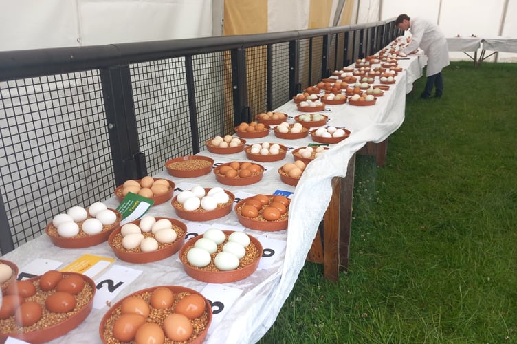 The egg section attracted entries from far afield. Photo: Julie McNicholls Vale