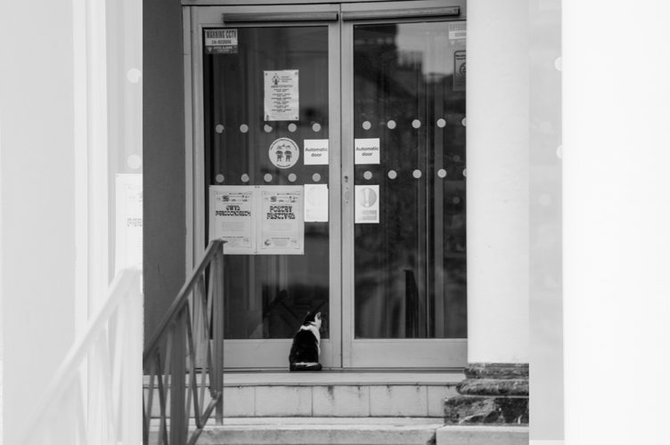 Tebot waiting for her shift to start outside Ceredigion Library in Aberystwyth