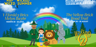 Explore Aberystwyth with the Yellow Brick Road Trails this summer