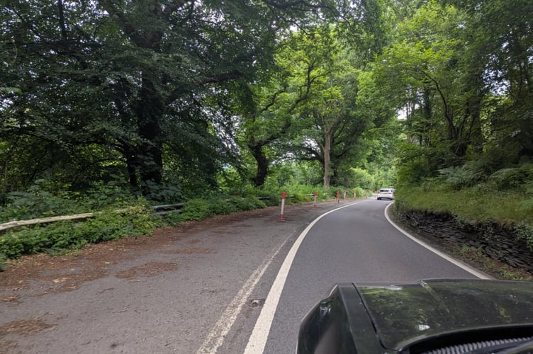 The lights have been in place so long that vegetation has grown over the sides of the barrier and dedbris regularly litters the closed lane, sometimes becoming a hazard