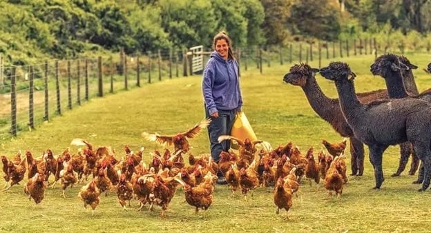 Small-holding owner speaks of 'devastation' over bird flu outbreak