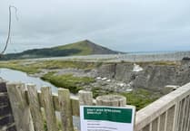 Dog walkers asked to keep pets on leads on Aberystwyth beach