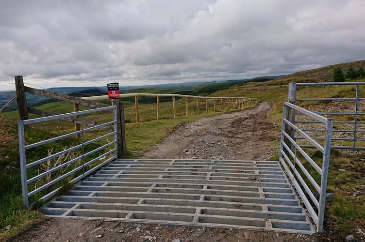 Strata florida