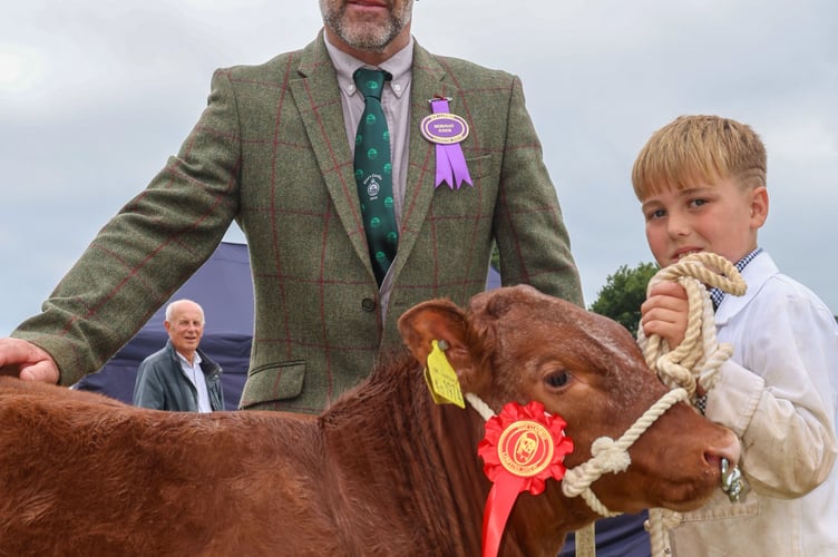 Ianto Hughes 10 Cwmhendryd Lampeter won best young handler 12 with he cattle