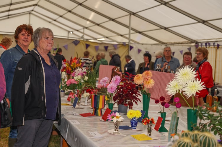 Lampeter Show