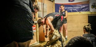 Shear Brilliance: Huw achieves a new British shearing record